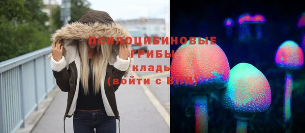 ешки Пестово