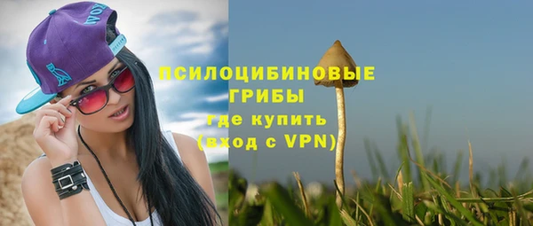 Альфа ПВП Пересвет