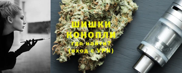 Альфа ПВП Пересвет