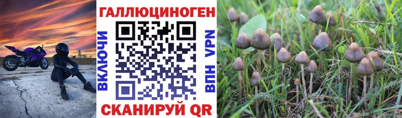 Галлюциногенные грибы GOLDEN TEACHER  Балахна 